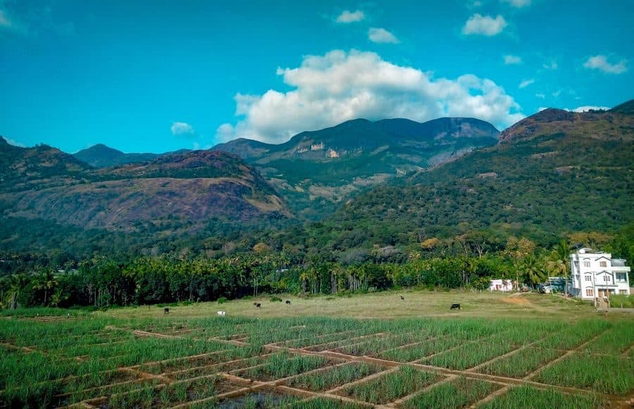 Agriculture